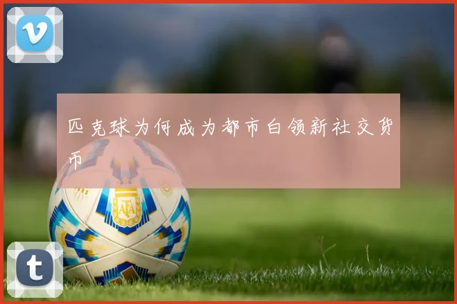 匹克球为何成为都市白领新社交货币