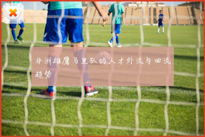 非洲雄鹰马里队的人才外流与回流趋势
