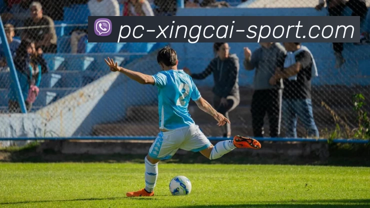 福建浔兴股份与行业巨头对决，探索未来发展新机遇与挑战